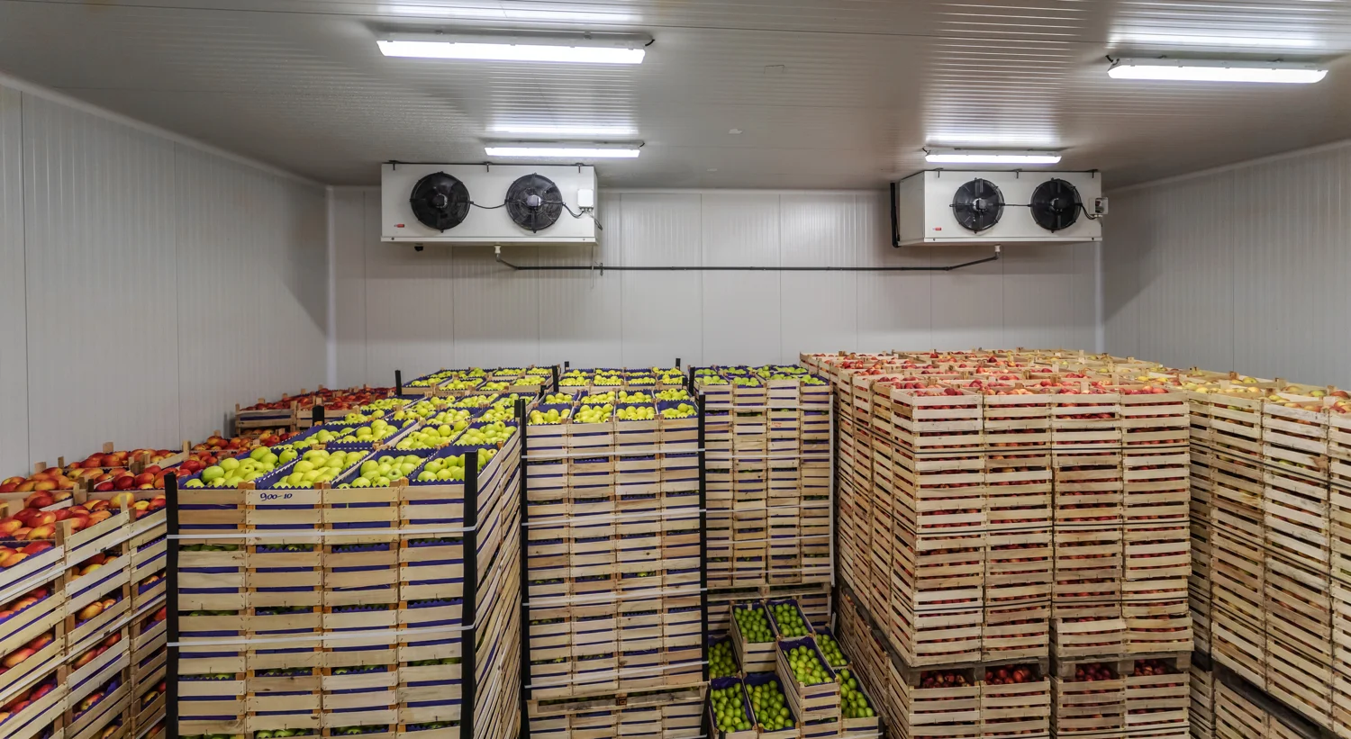 Cold storage