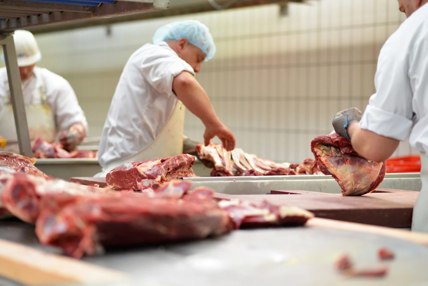 Food processing